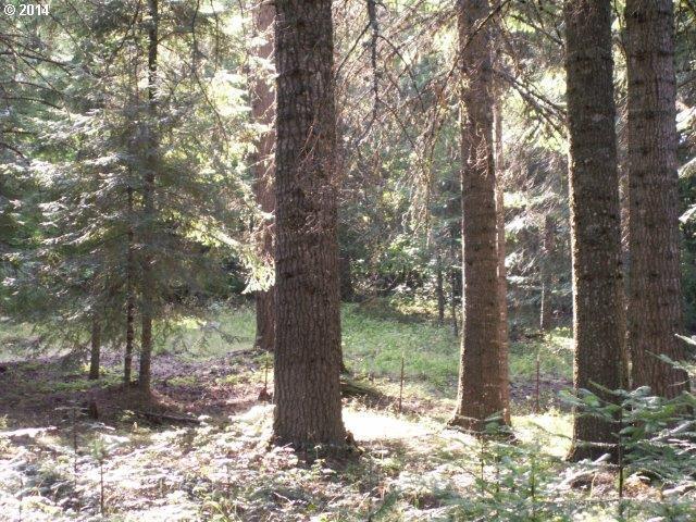 Frontier Road, Unit 5 Appleton, WA 98602 - Photo 5 of 8 Gallery Image 5