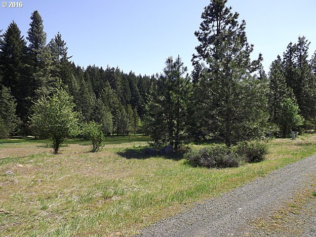 101 Lahar Road, Unit 1 Trout Lake, WA 98650 - Photo 8 of 22 Gallery Image 8