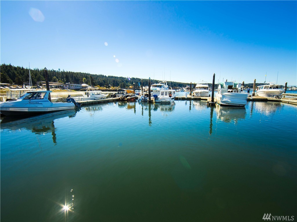 Dragon Run Road Lopez Island, WA 98261 - Photo 20 of 25