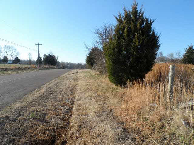 8775 Clifton Road Savannah, TN 38372 - Photo 12 of 12 Gallery Image 12