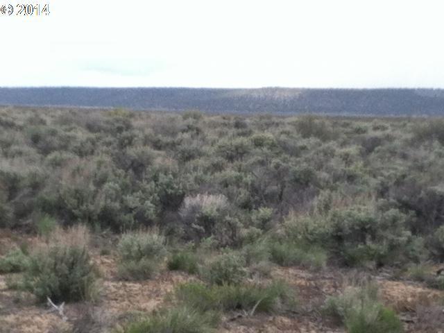 55655 Coffey Road Brothers, OR 97712 - Photo 5 of 11 Gallery Image 5