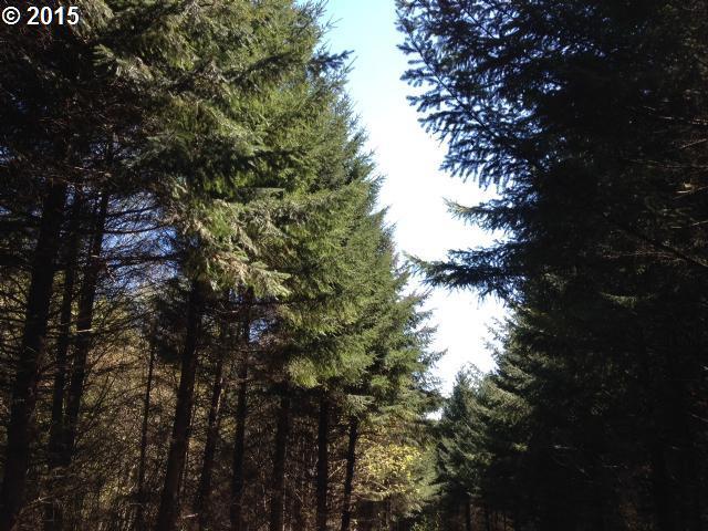 23656 Northwest Pumpkin Ridge Road North Plains, OR 97133 - Photo 2 of 4 Gallery Image 2