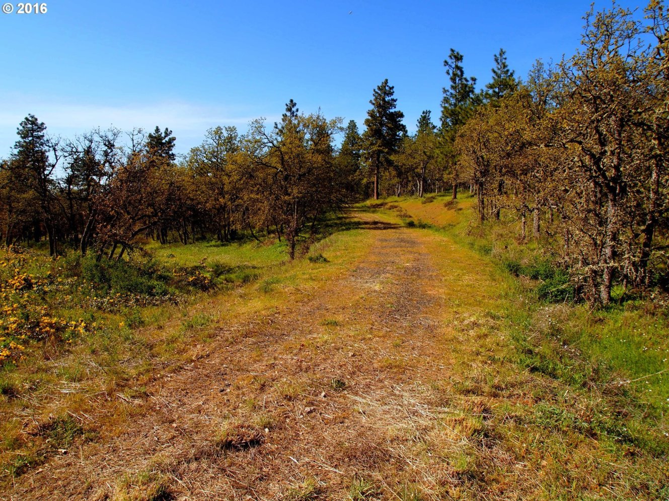 2320 7 Mile High Road The Dalles, OR 97058 - Photo 10 of 15 Gallery Image 10