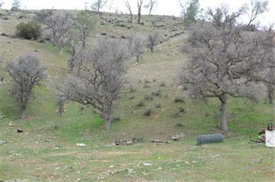 0 Ellen Blue Road Caliente, CA 93518 - Photo 6 of 7