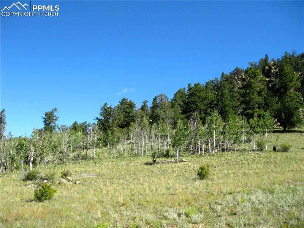 7877 Boulder Road Hartsel, CO 80449 - Photo 12 of 25