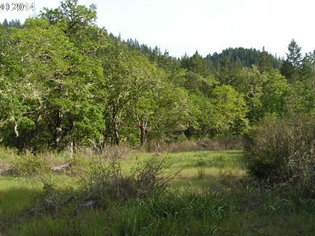 1787 South Side Road Grants Pass, OR 97527 - Photo 9 of 16 Gallery Image 9