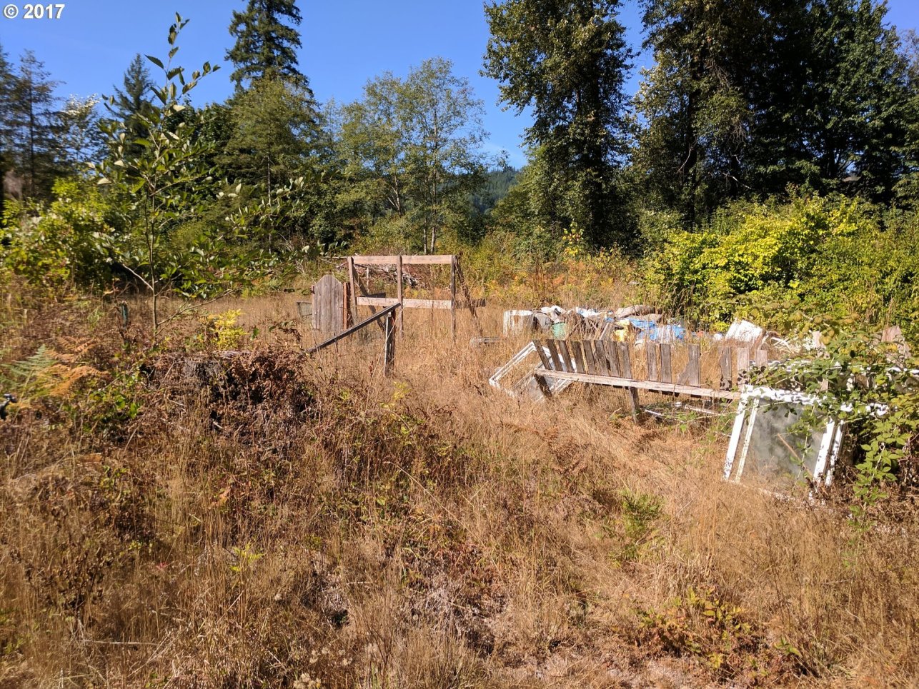 430 Yale Bridge Road Amboy, WA 98601 - Photo 6 of 9 Gallery Image 6