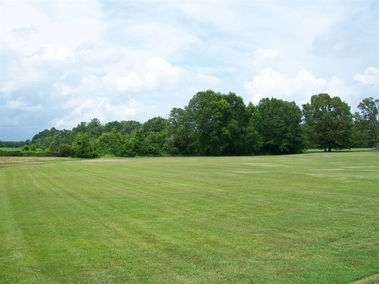 2895 Peavine Road Middleton, TN 38052 - Photo 22 of 25 Gallery Image 22