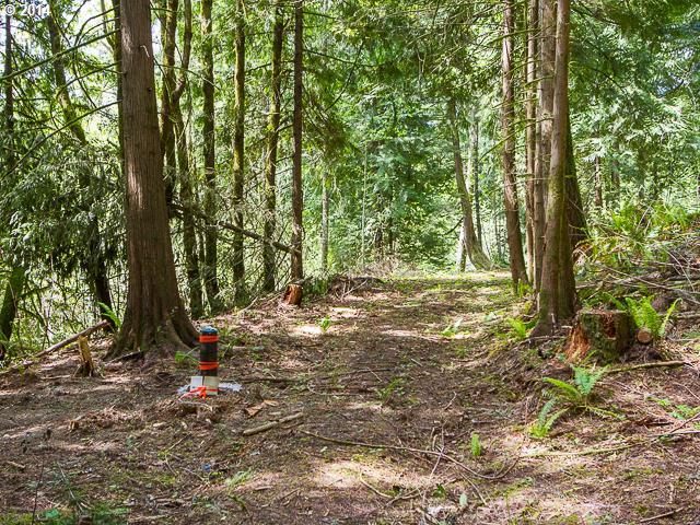 Northwest Davidson Road Banks, OR 97106 - Photo 8 of 16 Gallery Image 8