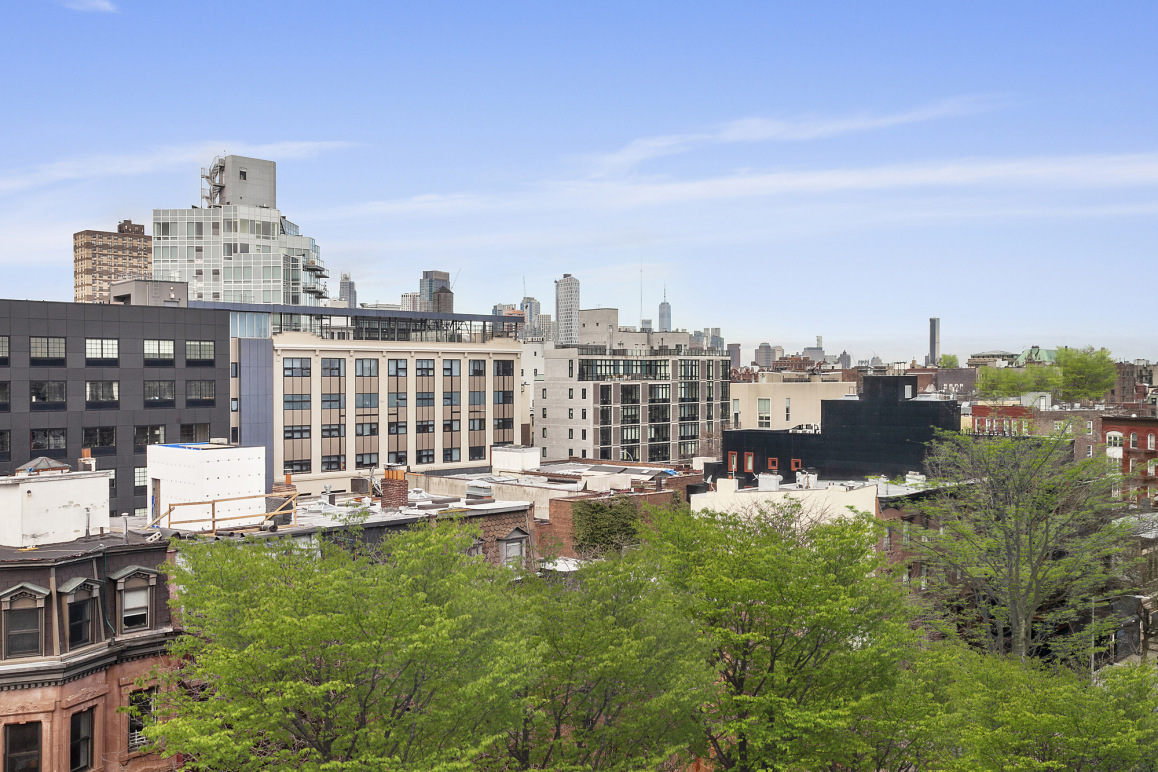 Isabella 545 Washington Ave, Brooklyn, NY 11238 - Photo 6 of 6