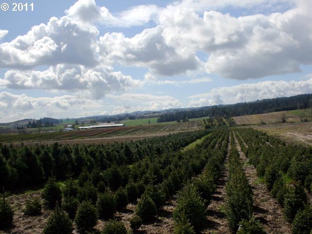 31181 Southwest Laurel Road Hillsboro, OR 97123 - Photo 15 of 16