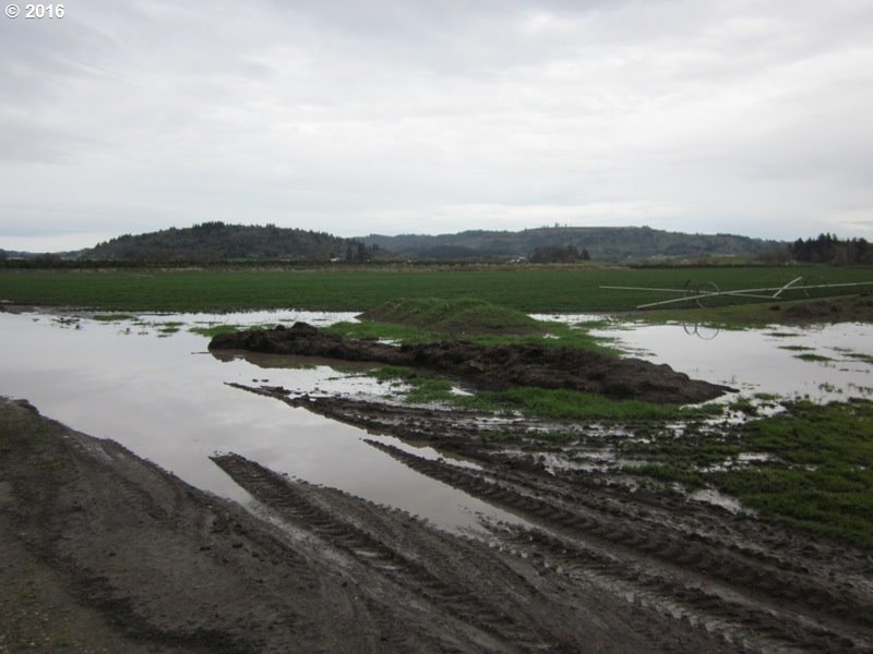 Talbot Road Jefferson, OR 97352 - Photo 3 of 6 Gallery Image 3