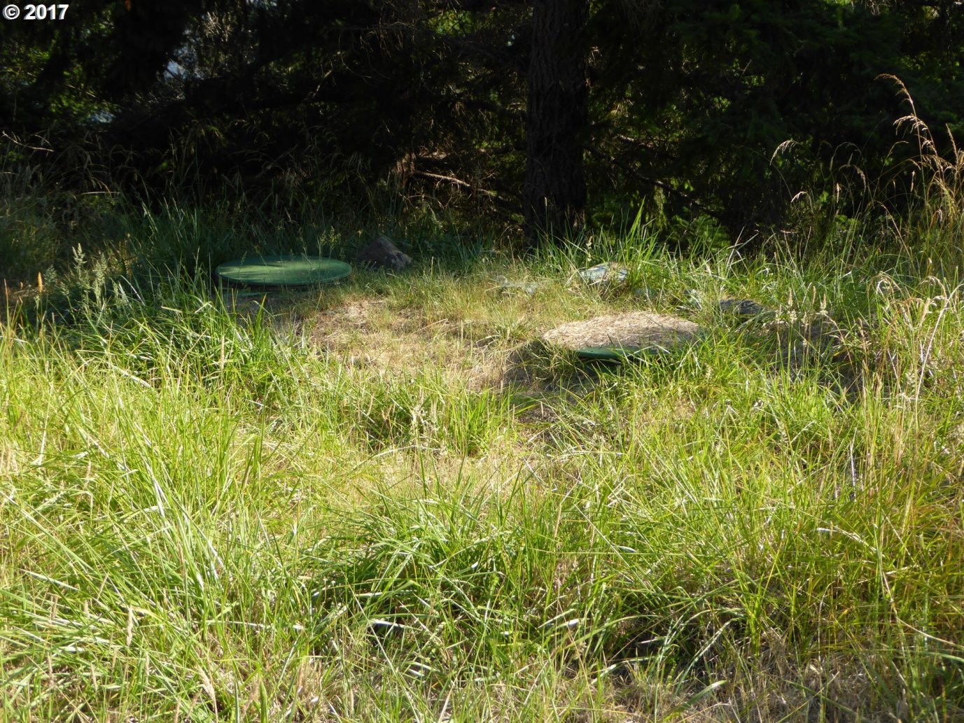 31935 Spirit Ring Road Gold Beach, OR 97444 - Photo 28 of 32