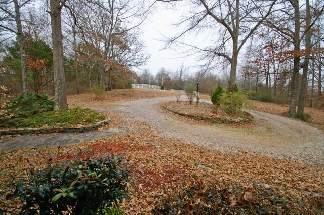 10450 Raleigh Lagrange Road East Eads, TN 38028 - Photo 4 of 25 A look back from the house toward the gate...