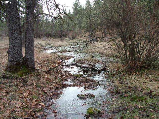 Austin Road Goldendale, WA 98620 - Photo 1 of 15 Gallery Image 1