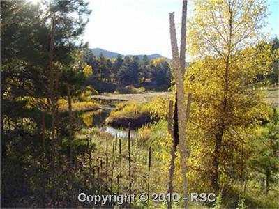 15103 Rainbow Road Sedalia, CO 80135 - Photo 5 of 10