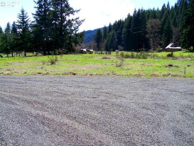 Meyers Road, Unit A White Salmon, WA 98672 - Photo 5 of 10 Gallery Image 5