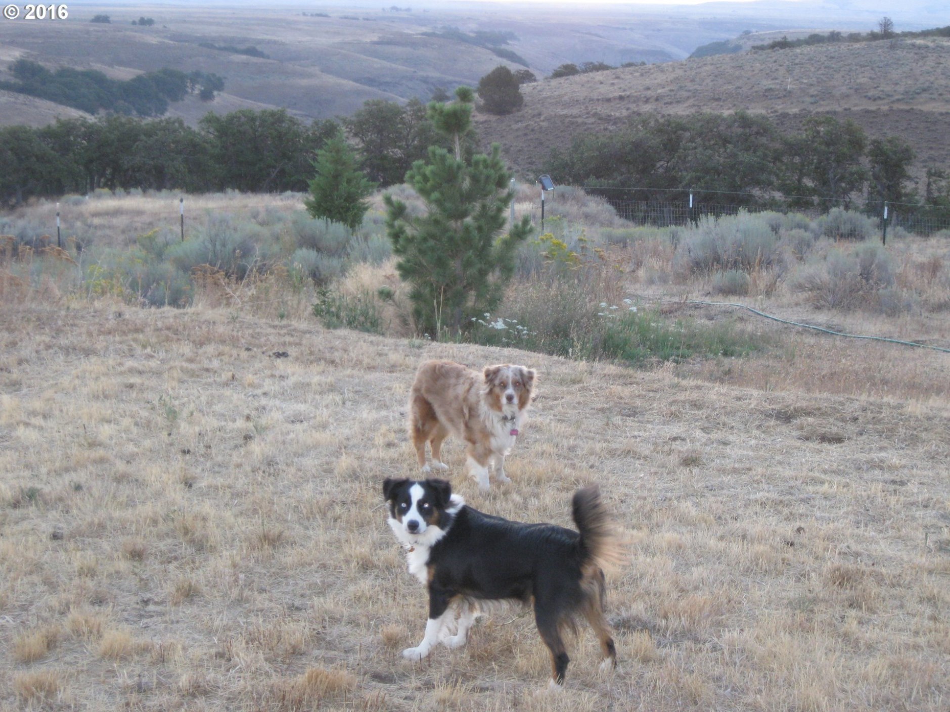356 Oak Flat Road Goldendale, WA 98620 - Photo 25 of 32 Gallery Image 25
