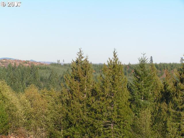 14333 Northwest McNamee Road Portland, OR 97231 - Photo 1 of 8