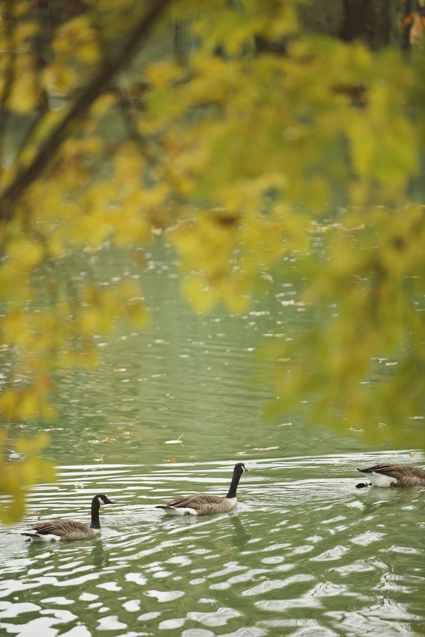 95 West 95th Street, Unit 28F Manhattan, NY 10025 - Photo 29 of 39