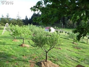 4900 Scotts Valley Road Yoncalla, OR 97499 - Photo 8 of 30