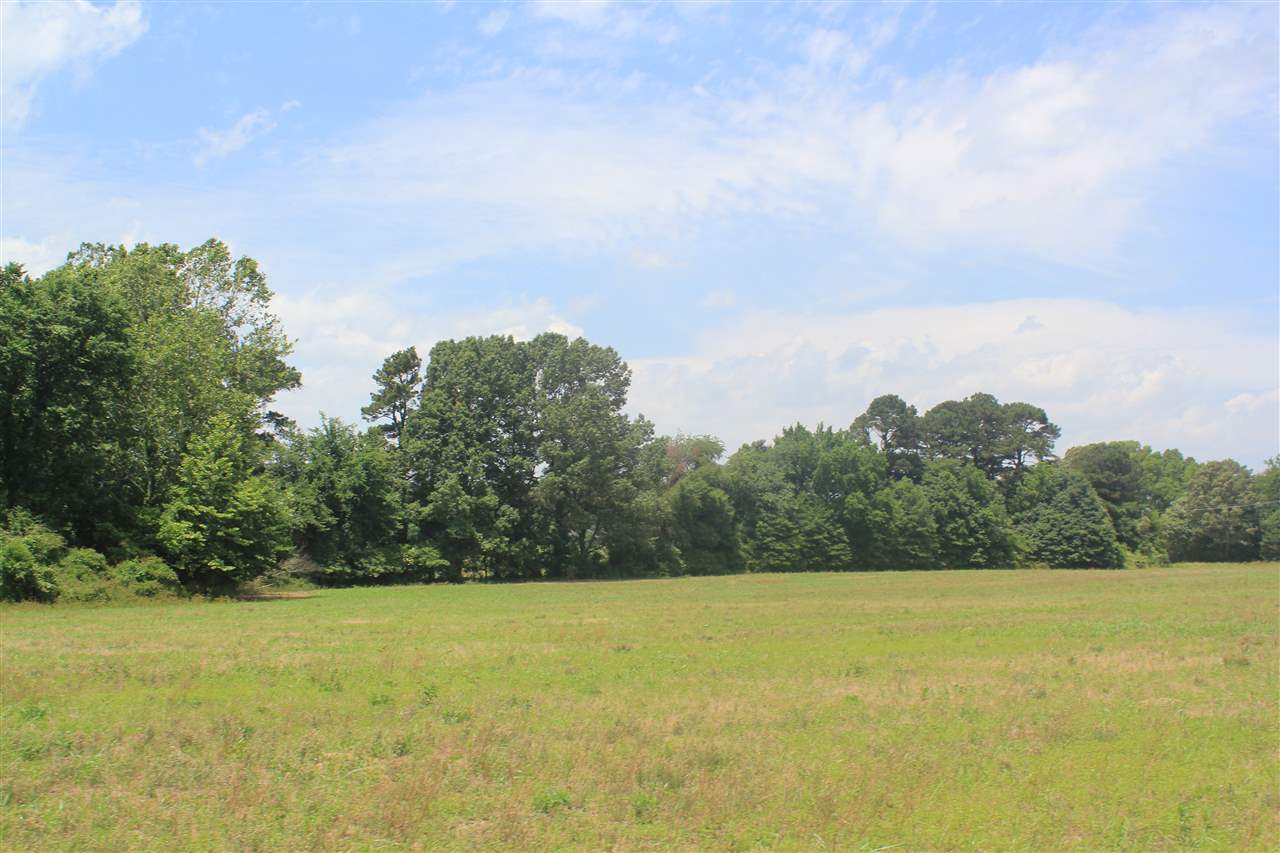 4 East Oak Grove Road Hernando, MS 38632 - Photo 16 of 22 Gallery Image 16