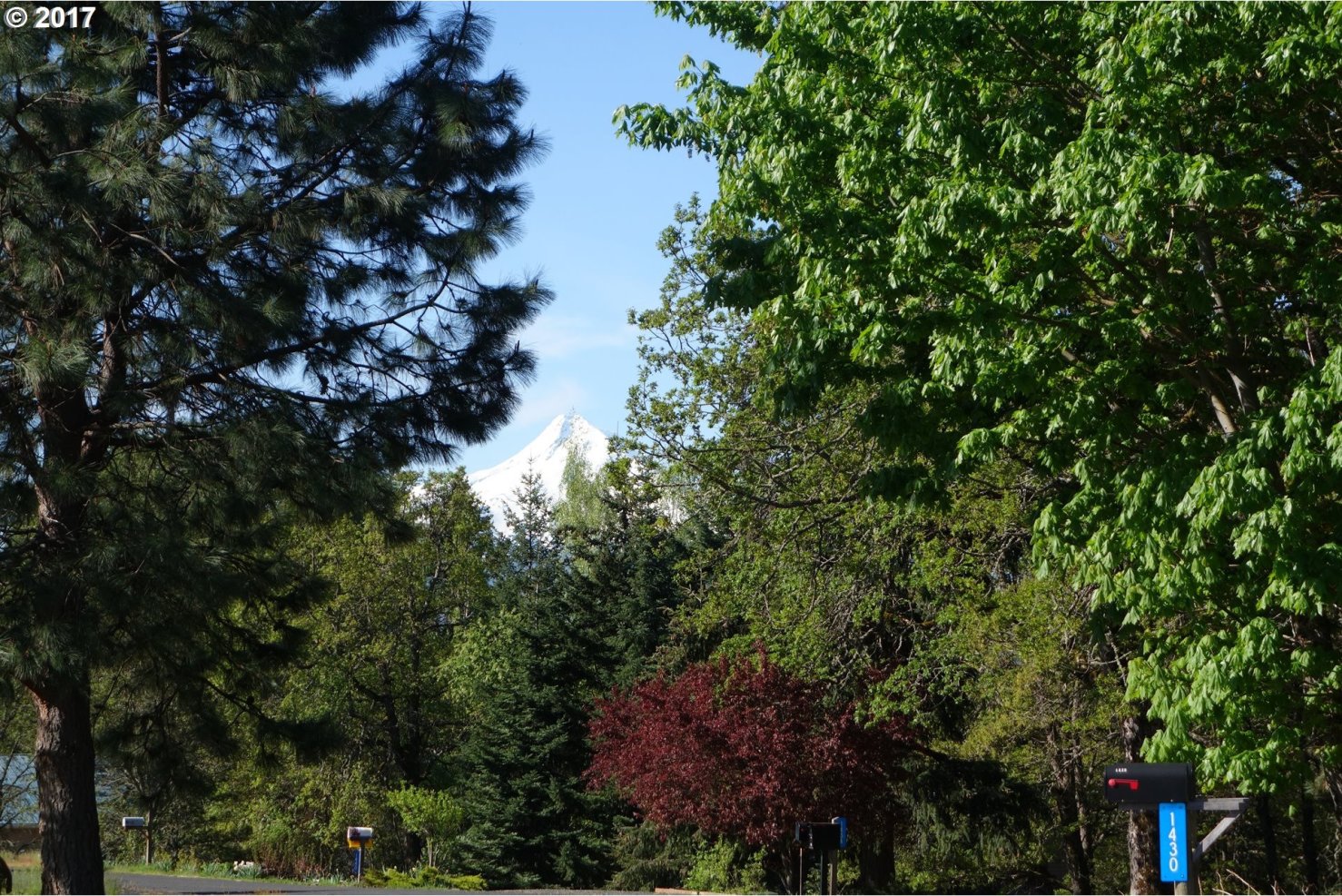 1424 Brislawn Loop Road White Salmon, WA 98672 - Photo 22 of 22 Gallery Image 22