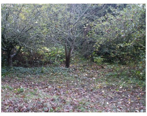 5901 Southwest Garden Home Road Portland, OR 97219 - Photo 2 of 13 Gallery Image 2