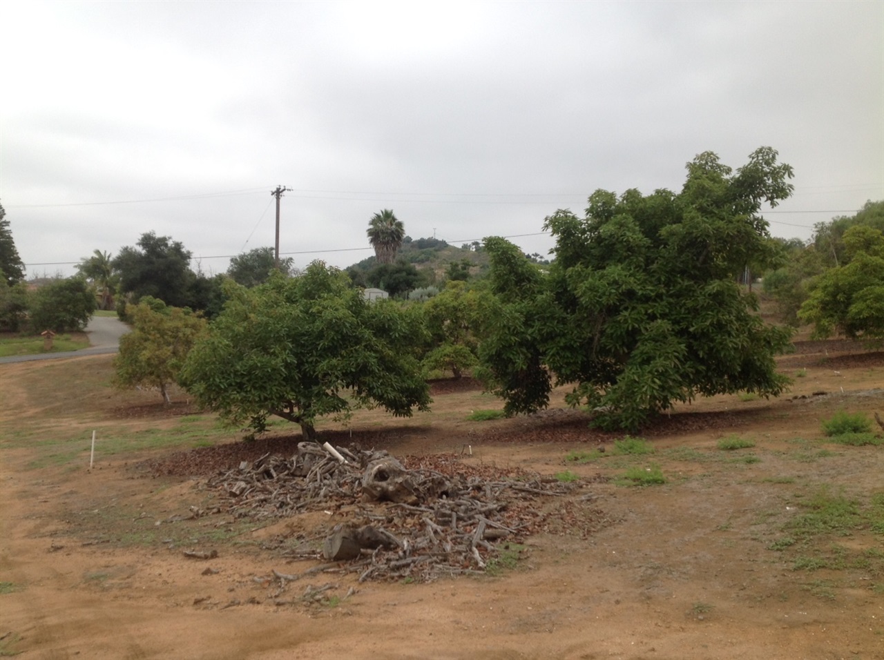 99999 Morro Hills Road Fallbrook, CA 92028 - Photo 7 of 20