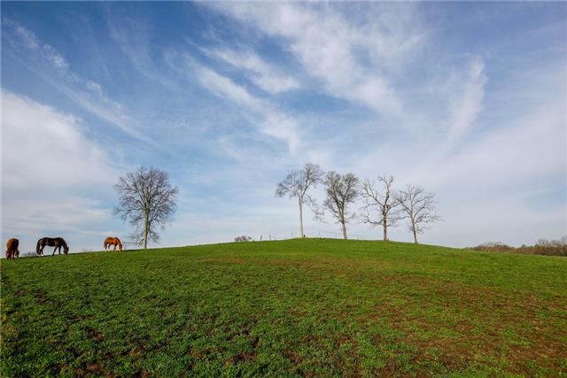 13920 Patterson Road College Grove, TN 37046 - Photo 25 of 30 Peace. Sweet peace.