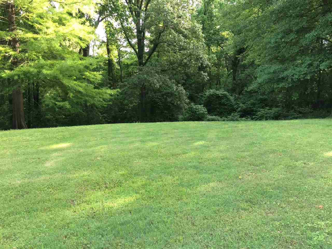 1774 Mt Lebanon Road Covington, TN 38019 - Photo 4 of 16 Gallery Image 4