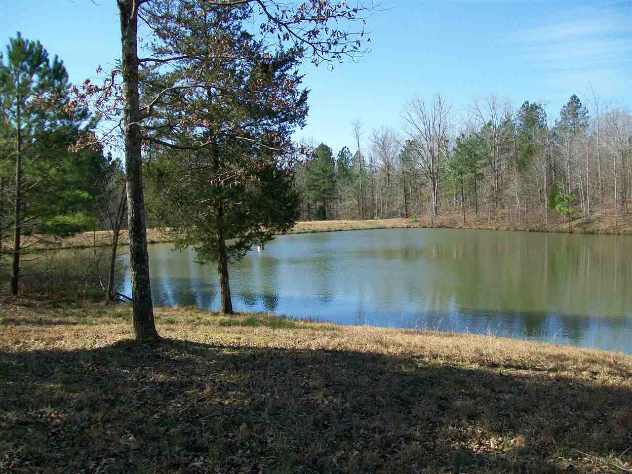1250 Dacus Road Medon, TN 38356 - Photo 1 of 19