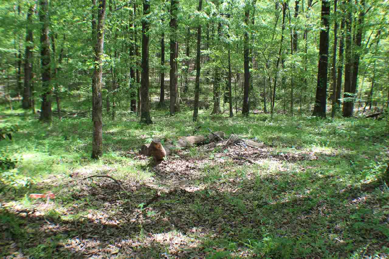 2455 Slayden Road Moscow, TN 38057 - Photo 24 of 25 Gallery Image 24