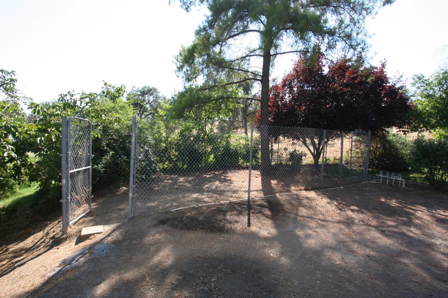 36047 Mistletoe Road Squaw Valley, CA 93675 - Photo 87 of 92 Gallery Image 87