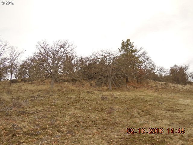 Pumphouse Road Goldendale, WA 98620 - Photo 4 of 15 Gallery Image 4