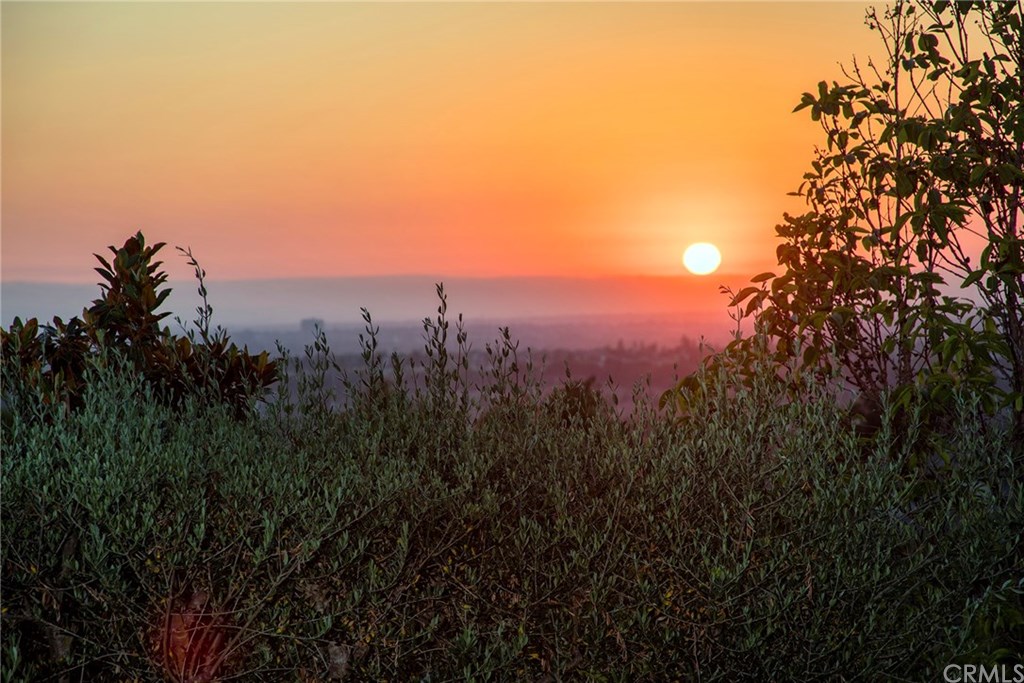 17 Ferrand Newport Coast, CA 92657 - Photo 23 of 29
