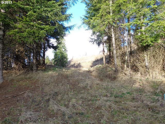 Kool Road Kelso, WA 98626 - Photo 5 of 12 Gallery Image 5