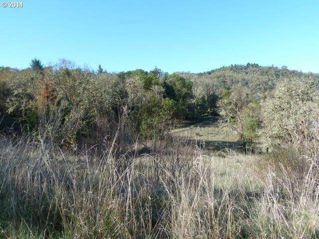 4100 Old Melrose Road Roseburg, OR 97471 - Photo 9 of 16 Gallery Image 9