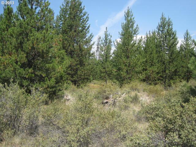 17700 Old Wood Road Bend, OR 97707 - Photo 11 of 11 Gallery Image 11