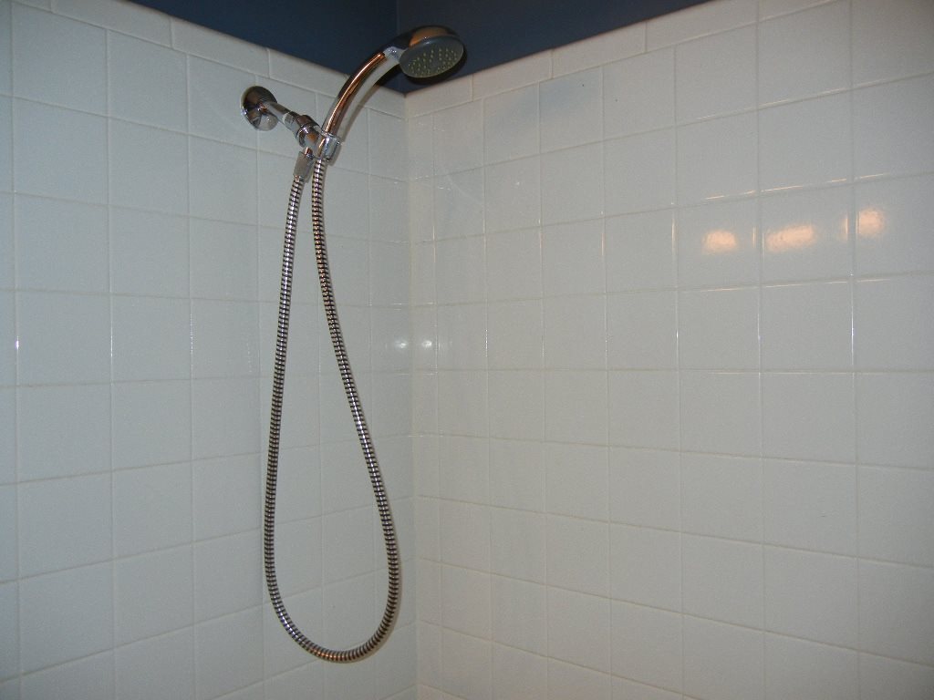 2855 Elmore Park Road Bartlett, TN 38134 - Photo 15 of 21 New shower fixture