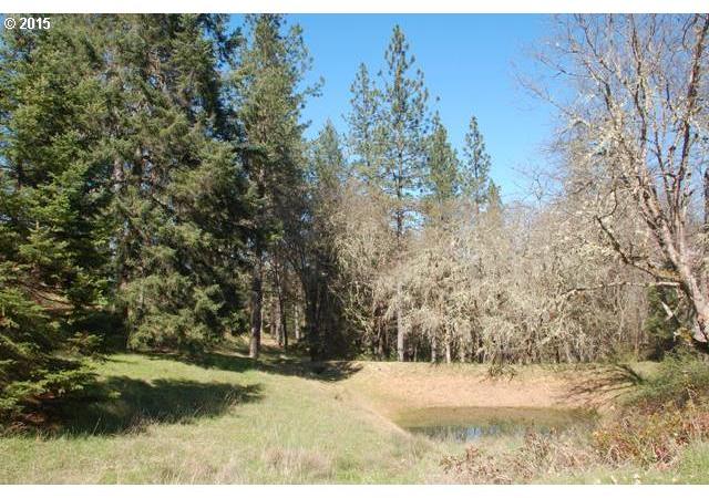 1015 Abegg Road Merlin, OR 97532 - Photo 16 of 16