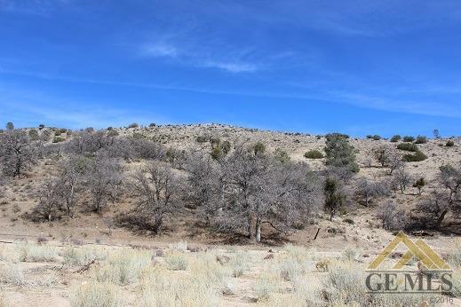 0 Franceschi Road Caliente, CA 93518 - Photo 9 of 16