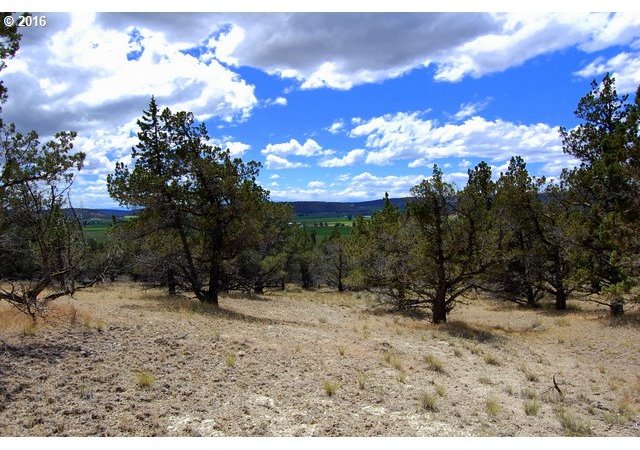 3 Grizzly Road Prineville, OR 97754 - Photo 19 of 23 Gallery Image 19