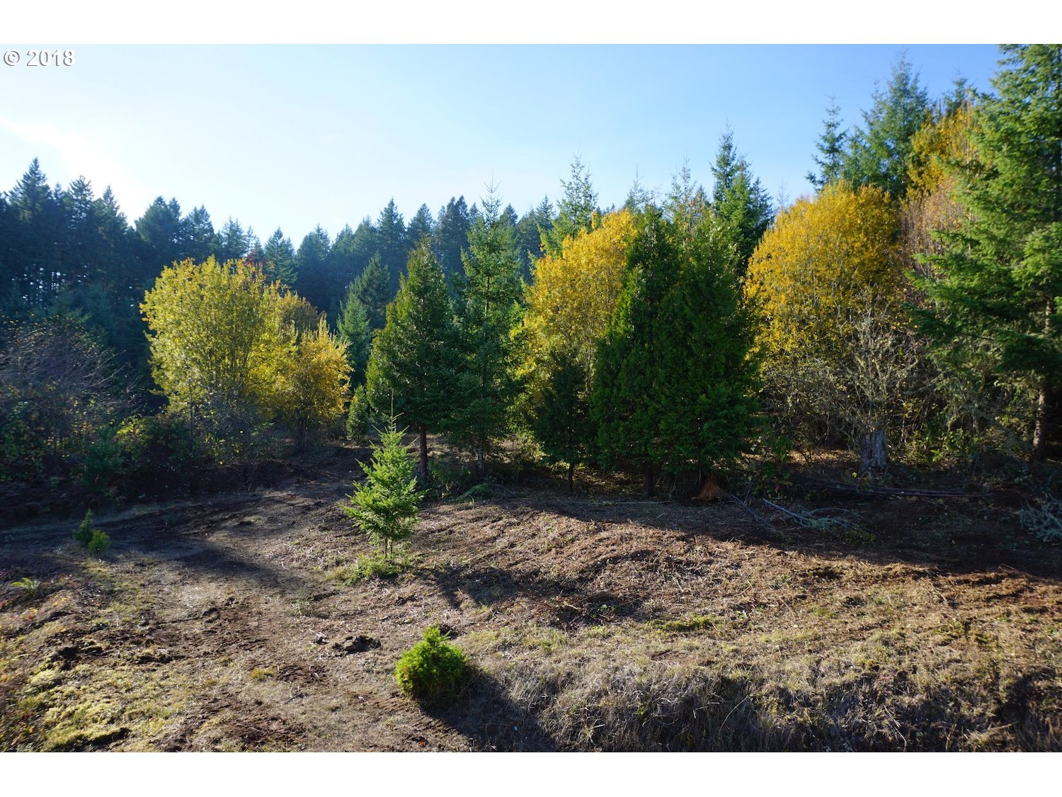 31529 Fox Hollow Road Eugene, OR 97405 - Photo 30 of 31 Gallery Image 30