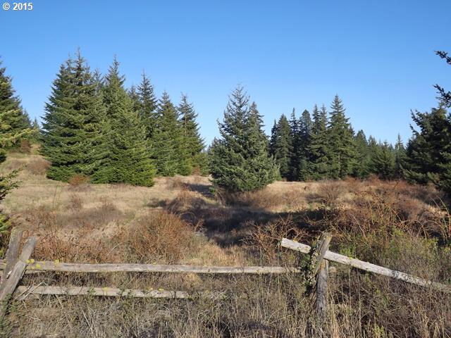 Snowden Road White Salmon, WA 98672 - Photo 5 of 16 Gallery Image 5