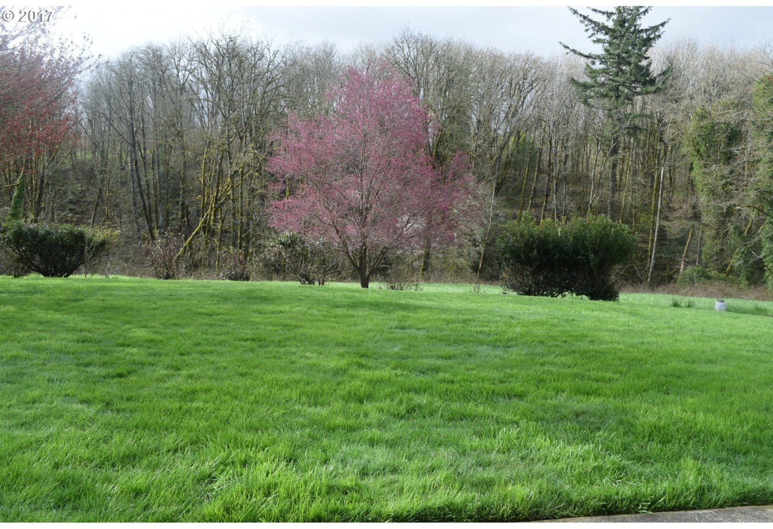 11050 Northwest Laidlaw Road Portland, OR 97229 - Photo 5 of 27 Gallery Image 5