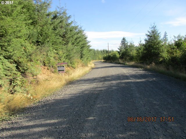 Northwest Nowakowski Road Buxton, OR 97109 - Photo 1 of 2 Gallery Image 1