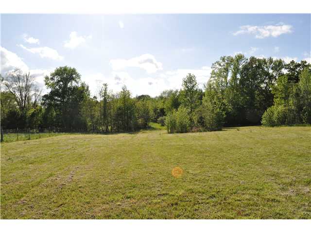 4322 Pleasant Grove Road Moscow, TN 38057 - Photo 23 of 25 With more than 24 acres this rolling landscape is full of deer, turkey, and other wildlife.