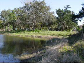 Spoonbill Point St. Augustine, FL 32080 - Photo 4 of 6 Gallery Image 4