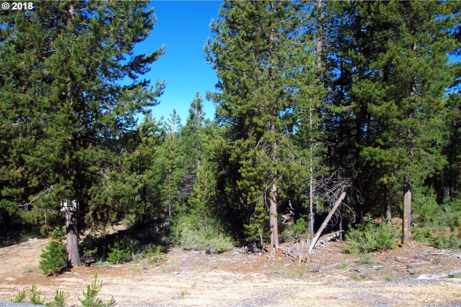 3900 Bear Flat Road Chemult, OR 97731 - Photo 3 of 3 Gallery Image 3